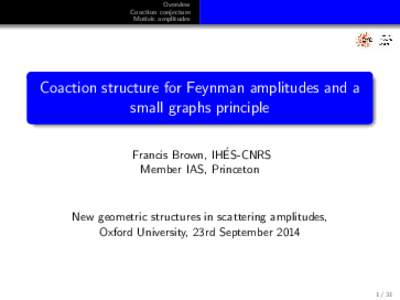 Overview Coaction conjecture Motivic amplitudes Coaction structure for Feynman amplitudes and a small graphs principle