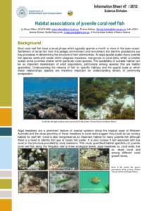 Information Sheet[removed]Science Division Habitat associations of juvenile coral reef fish by Shaun Wilson, [removed], [removed], Thomas Holmes, [removed], both of DEC Science Div