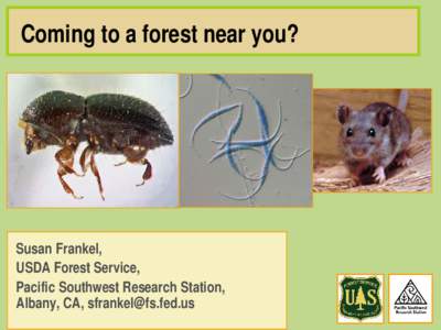 Coming to a forest near you?  Susan Frankel, USDA Forest Service, Pacific Southwest Research Station, Albany, CA, [removed]