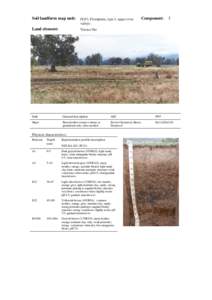 back Soil landform map unit: FLP3; Floodplain, type 3, upper river valleys