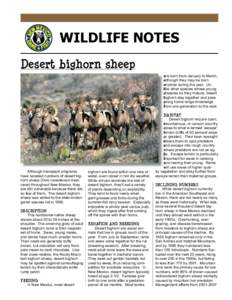 WILDLIFE NOTES Desert bighorn sheep a born from January to March, are a although