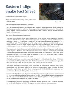 Eastern Indigo Snake Fact Sheet Scientific Name: Drymarchon couperi Other common names: blue indigo snake, gopher snake, blue bull snake