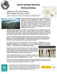 Colombian Grebe / Ecology / Environment / Knowledge / Boyacá Department / Lake Tota / Wetland