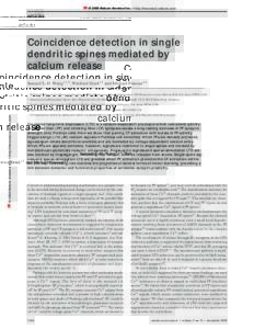 © 2000 Nature America Inc. • http://neurosci.nature.com  articles Coincidence detection in single dendritic spines mediated by