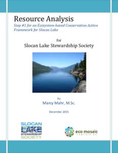 Resource Analysis Step #1 for an Ecosystem-based Conservation Action Framework for Slocan Lake for  Slocan Lake Stewardship Society