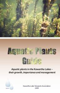 Plant morphology / Aquatic plant / Kawartha lakes / Wetland / Lake / Water pollution / Water / Aquatic ecology / Environment