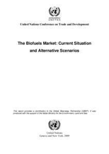   United Nations Conference on Trade and Development The Biofuels Market: Current Situation and Alternative Scenarios