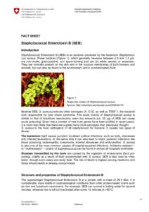 Bacteriology / Bacterial diseases / Gram-positive bacteria / Infectious diseases / Staphylococcus aureus / Staphylococcal Enterotoxin B / Food microbiology / Enterotoxin / Exotoxin / Bacteria / Biology / Microbiology