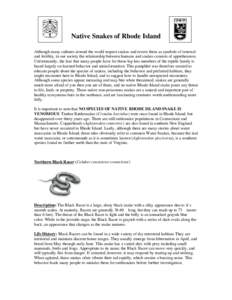 Native Snakes of Rhode Island Although many cultures around the world respect snakes and revere them as symbols of renewal and fertility, in our society the relationship between humans and snakes consists of apprehension