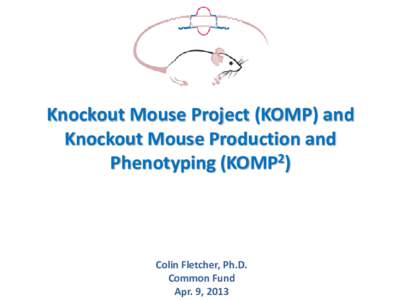 Biology / International Knockout Mouse Consortium / EUCOMM / Knockout mouse / CYP4B1 / SPEG / Animal testing / Genetically modified organisms / Mice