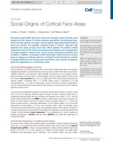 Brain / Cerebrum / Neuroscience / Cognition / Cerebral cortex / Visual perception / Temporal lobe / Visual cortex / Face perception / Fusiform face area / Visual system / Amygdala