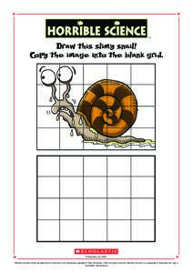 TM  Draw this slimy snail! Copy the image into the blank grid.  © Scholastic Ltd, 2006.