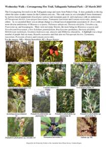 Plant List for Cowangerong Trig Walk, Tallaganda National Park – 21 May 2003 & 14 January 2004