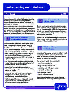 Understanding Youth Violence Fact Sheet								 Youth violence refers to harmful behaviors that can start early and continue into young adulthood. The young person can be a victim, an offender, or a witness to the viole