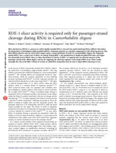 ARTICLES  RDE-1 slicer activity is required only for passenger-strand cleavage during RNAi in Caenorhabditis elegans  © 2009 Nature America, Inc. All rights reserved.