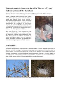 Extreme associations: the Sociable Weaver – Pygmy Falcon system of the Kalahari Robert L. Thomson: Section of Ecology, Department of Biology, University of Turku, Finland Starting a project at Tswalu Kalahari has been 