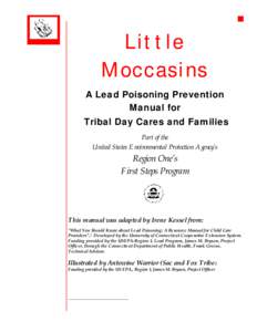 g  Little Moccasins A Lead Poisoning Prevention Manual for