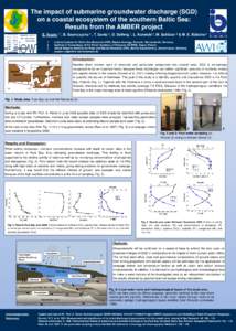 The impact of submarine groundwater discharge (SGD) on a coastal ecosystem of the southern Baltic Sea: Results from the AMBER project S. Vogler 1,*, B. Szymczycha 2 , T. Gentz 3, O. Dellwig 1, L. Kotwicki 2, M. Schlüter