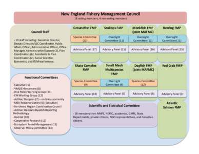 New	
  England	
  Fishery	
  Management	
  Council	
   18	
  vo&ng	
  members,	
  4	
  non-­‐vo&ng	
  members	
   Council	
  Staﬀ	
   -­‐	
  19	
  staﬀ	
  including:	
  Execu&ve	
  Director,	
