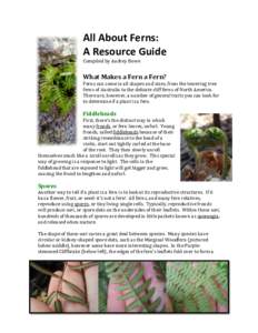 All About Ferns: A Resource Guide Compiled by Audrey Bowe What Makes a Fern a Fern? Ferns can come in all shapes and sizes, from the towering tree