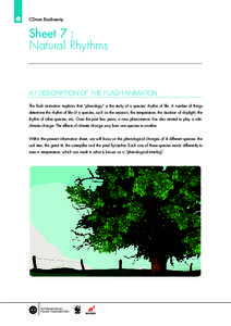 CD-rom Biodiversity  Sheet 7 : Natural Rhythms  A / DESCRIPTION OF THE FLASH ANIMATION