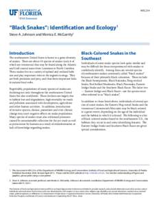 WEC214  “Black Snakes”: Identification and Ecology1 Steve A. Johnson and Monica E. McGarrity2  Introduction