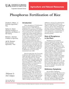 Phosphorus Fertilization of Rice - FSA 2127