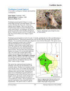 Urocitellus / Washington / Idaho ground squirrel / Zoology / Tree squirrel / Ground squirrels / Washington ground squirrel / Spermophilus