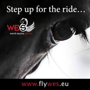 www.flywes.eu  World Equine Services (WES), the specialist for air transport of your valuable horses all over the world. Needs your precious fourfooter (temporary) be transferred to New York, Toronto, Sao Paulo, Buenos 