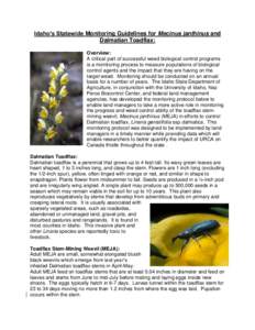 Idaho’s Statewide Monitoring Guidelines for Mecinus janthinus and Dalmatian Toadflax: Overview: A critical part of successful weed biological control programs is a monitoring process to measure populations of biologica