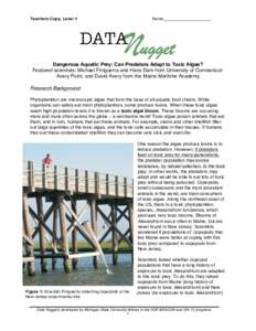 Teachers Copy, Level 4  Name_________________ Dangerous Aquatic Prey: Can Predators Adapt to Toxic Algae? Featured scientists: Michael Finiguerra and Hans Dam from University of ConnecticutAvery Point, and David Avery fr