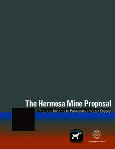 The Hermosa Mine Proposal TM EARTHWORKS  Potential Impacts to Patagonia’s Water Supply