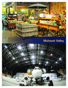 Mohawk Valley  62 Mohawk Valley $82.4 million awarded to 76 projects