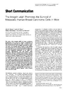 American Journal of Pathology, Vol. 151, No. 5, November 1997 Copyright X) American Society for Investigative Pathology Short Communication  The Integrin a6f31 Promotes the Survival of