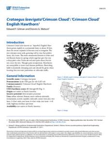 ENH370  Crataegus laevigata’Crimson Cloud’: ‘Crimson Cloud’ English Hawthorn1 Edward F. Gilman and Dennis G. Watson2