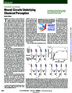 ESSAY EPPENDORFWINNER Neural Circuits Underlying Chemical Perception