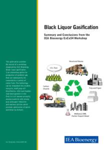 Black Liquor gasification_V2.indd