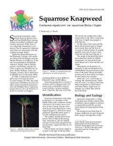 PNW 422-E • Reprinted July[removed]Squarrose Knapweed Centaurea virgata Lam. var. squarrosa (Boiss.) Gugler C. Roché and L.C. Burrill