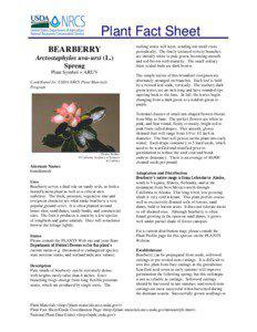 Plant Fact Sheet BEARBERRY Arctostaphylos uva-ursi (L.)