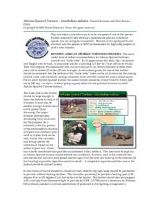 African Spurred Tortoise - Geochelone sulcata - Darrell Senneke and Chris Tabaka DVM