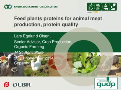 Feed plants proteins for animal meat production, protein quality Lars Egelund Olsen, Senior Advisor, Crop Production, Organic Farming M.Sc Agriculture