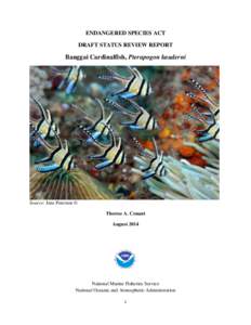 ENDANGERED SPECIES ACT DRAFT STATUS REVIEW REPORT Banggai Cardinalfish, Pterapogon kauderni  Source: Jens Peterson ©