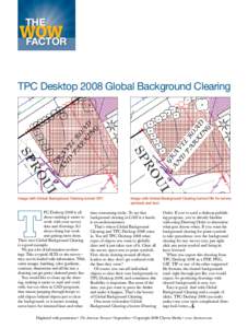 THE  WOW Factor TPC Desktop 2008 Global Background Clearing