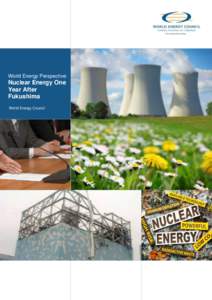 World Energy Perspective:  Nuclear Energy One Year After Fukushima World Energy Council