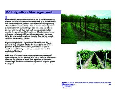 IV. Irrigation Management  I Irrigation can be an important management tool for managing vine water relations, particularly in areas with sandy or gravelly soils, young vineyards