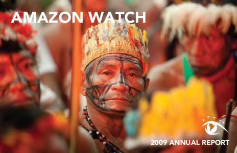 INDIGEONOUS AMAZON AERIAL