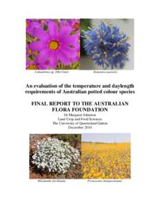 Flora of New South Wales / Calandrinia / Portulacaceae / Plant taxonomy / Brunonia / Photoperiodism / Philodendron / Goodeniaceae / Flower / Biology / Eudicots / Botany