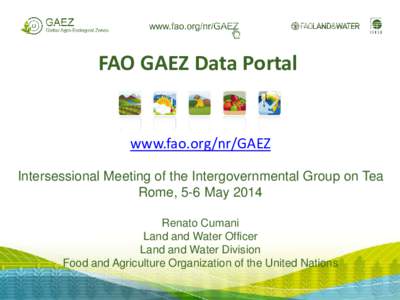 FAO GAEZ Data Portal  www.fao.org/nr/GAEZ Intersessional Meeting of the Intergovernmental Group on Tea Rome, 5-6 May 2014 Renato Cumani