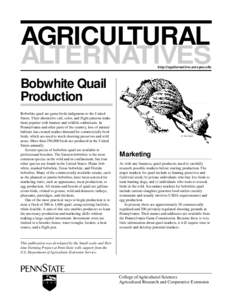 Bobwhite Quail Production