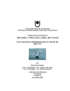 Universidad Nacional del Nordeste Facultad de Ciencias Exactas, Naturales y Agrimensura Trabajo Final de Aplicación MPLS MULTI PROTOCOL LABEL SWITCHING Una Arquitectura de Backbone para la Internet del